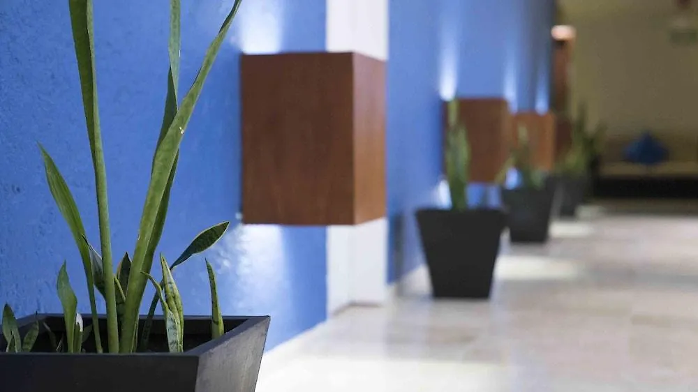 Club Regina Cancun Hotel